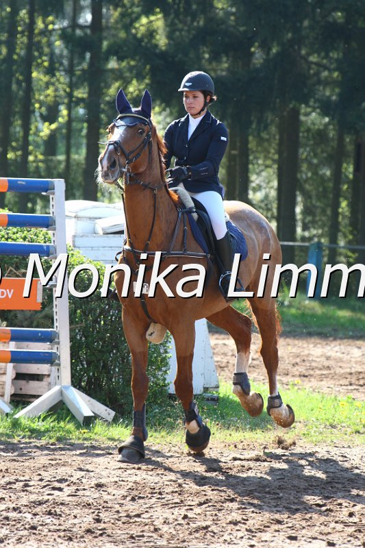 004M1473_K_Ks Gary Glitter_Spring A.JPG